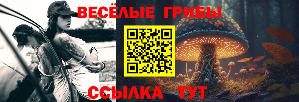 Галлюциногенные грибы Magic Shrooms  где купить наркоту  Галлюциногенные грибы Psilocybine cubensis  Вольск  Вход с VPN 